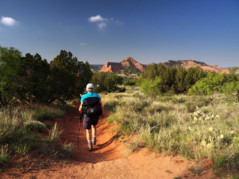 Starting out on the trail