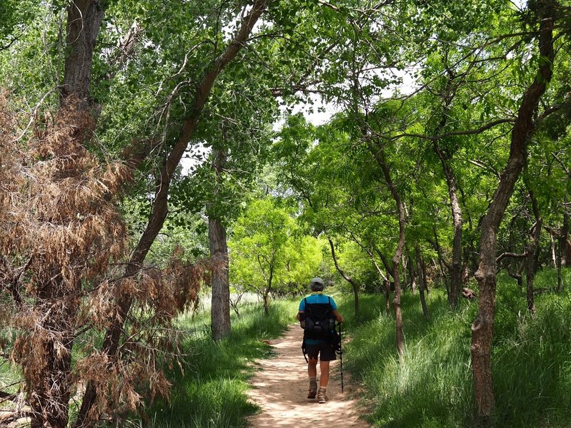 Along the Paseo del Rio Trail