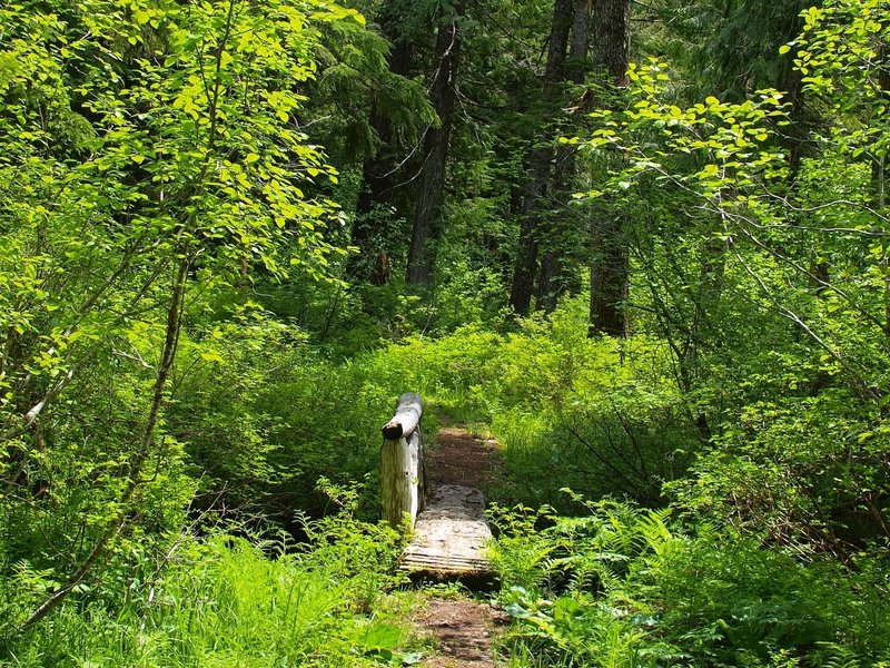 Along the Bell Creek Trail