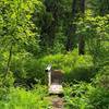 Along the Bell Creek Trail