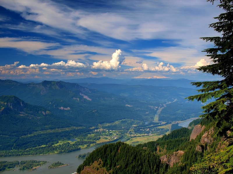 View of the Gorge from the Horsetail Creek Trail.