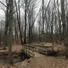 One of several short bridges on the trail