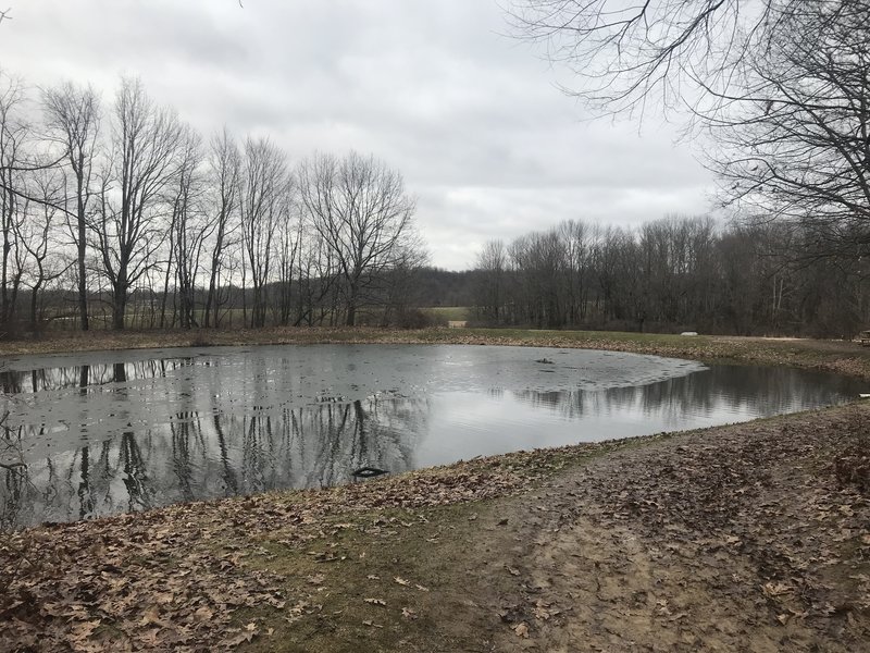 Nice pond as trail resumes after parking lot