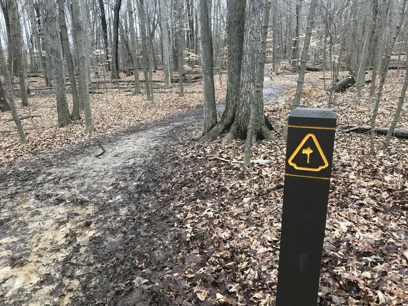 Trail marker for the Chippewa Trail