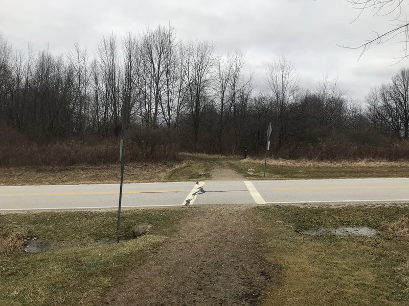 Road crossing