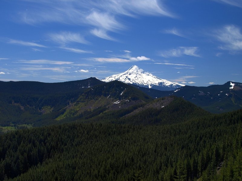 Mount Hood from near Camp Smokey