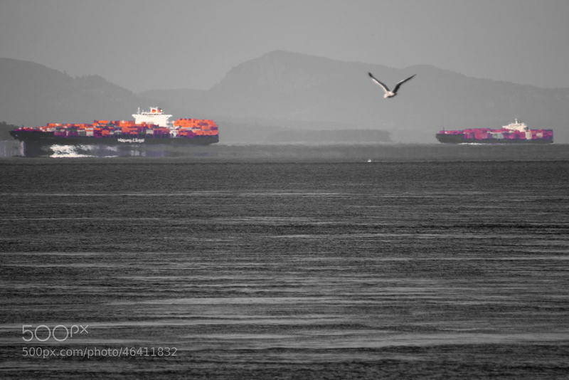 Water colors: Getting some nice reflection from the water and a water paint effect from the ships caused by the heat.