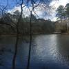 Plenty of beautiful lake views along the trail!