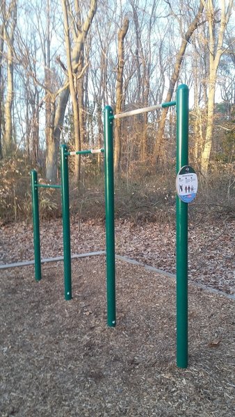 Pull-Up Exercise Station