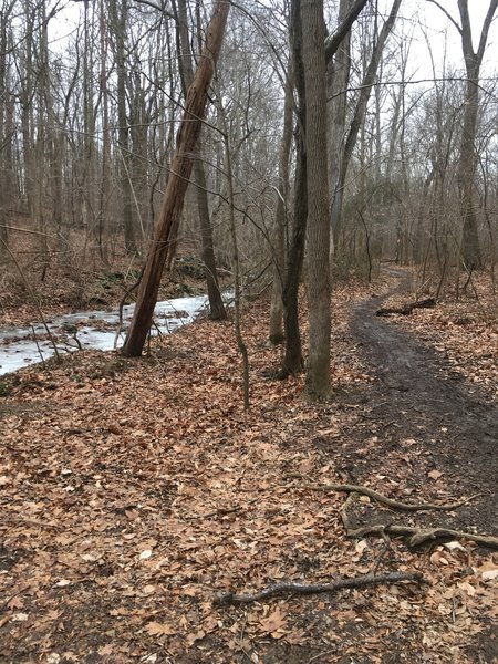 Trail running along the river.