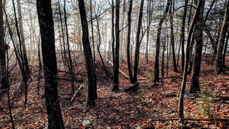A glimmer of sunlight on an otherwise damp and foggy morning in Milford, PA