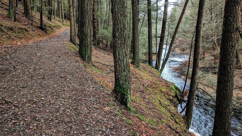 The Raymondskill River follows alongside Hackers Trail in this unique section of trail in Cliff Park, PA.