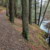 The Raymondskill River follows alongside Hackers Trail in this unique section of trail in Cliff Park, PA.