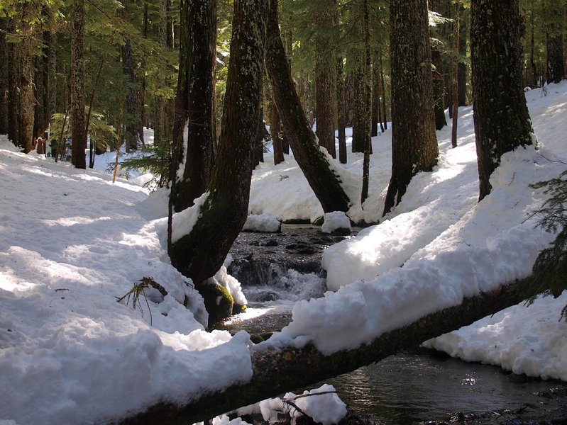 Ruckel Creek in winter