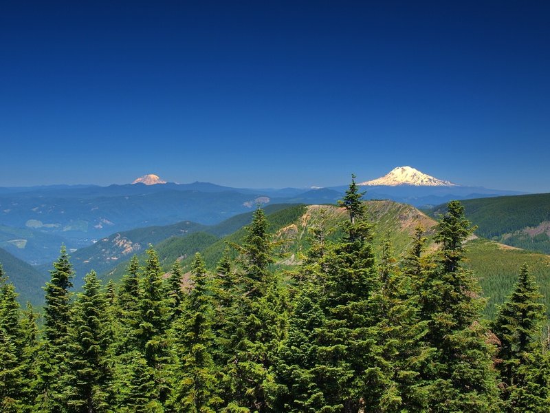 Mount Rainier (L) and Mount Adams (R) from Chinidere Mountain