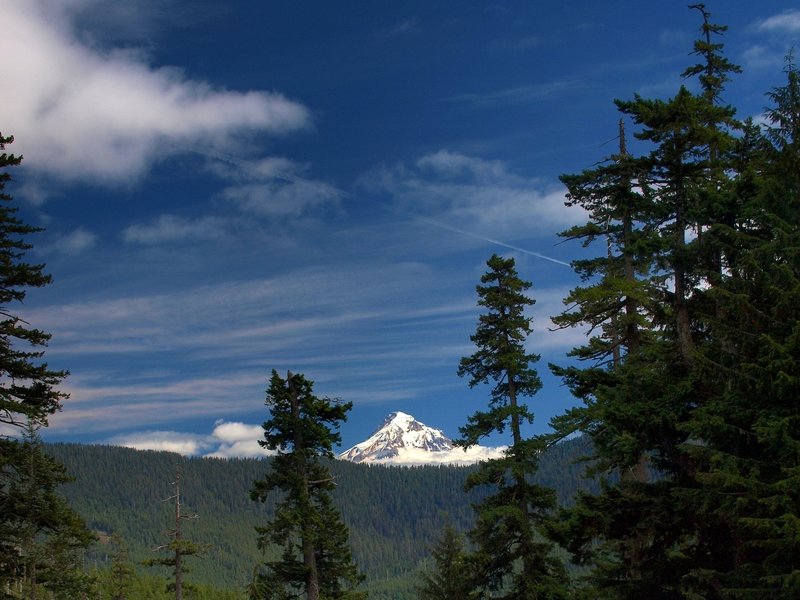 Mount Hood from the #433