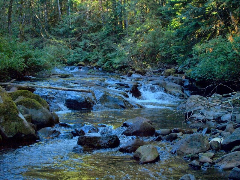 Crossing upper Eagle Creek (no bridge)