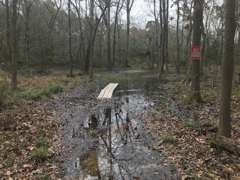 The area is prone to flooding - this was two days after the last rain - so plan accordingly.