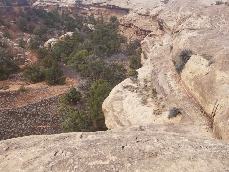 One of the ladders on the trail