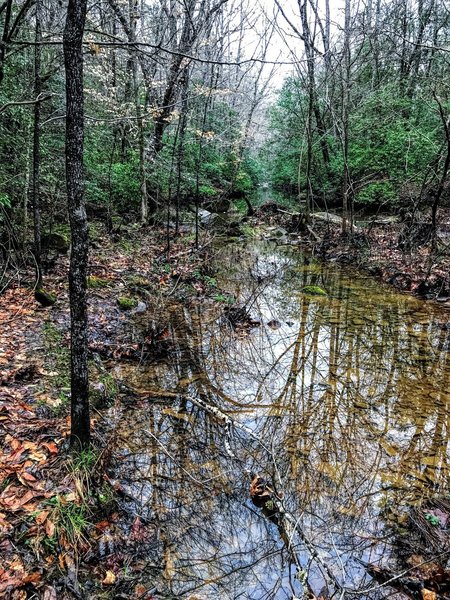 Crossing at Hannah's Creek