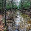 Crossing at Hannah's Creek