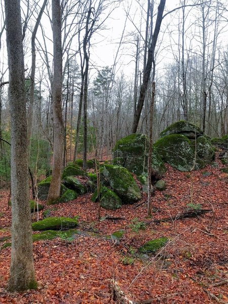 Rock outcropping on the trail