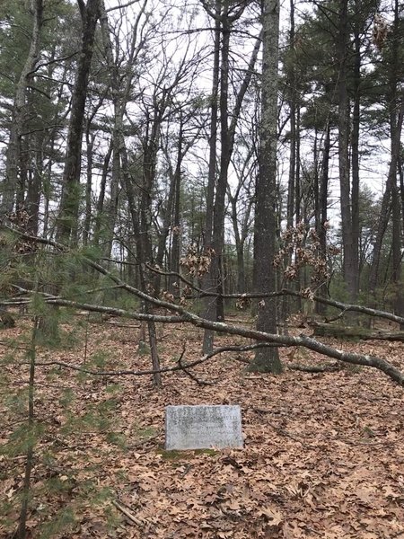 The site of Thoreau’s Beanfield