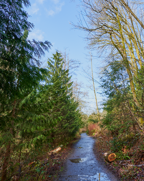 Piper's Creek has a nice, easy trail along side of it which stays clear of obstructions and debris.