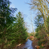 Piper's Creek has a nice, easy trail along side of it which stays clear of obstructions and debris.