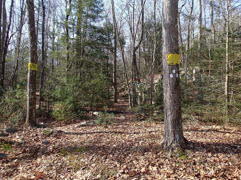 Northern trailhead