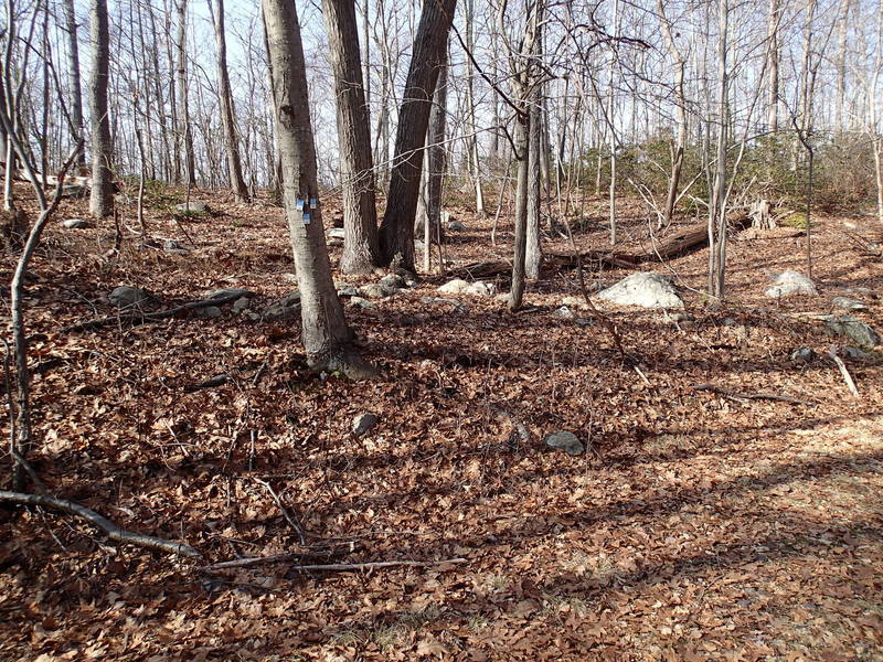 Hank's West Trailhead