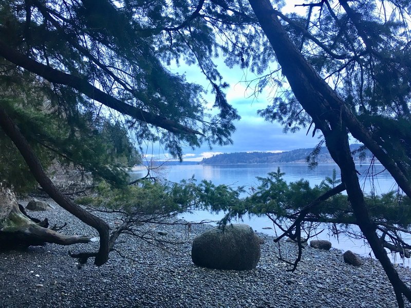 Peaceful water views at Westwood Shore