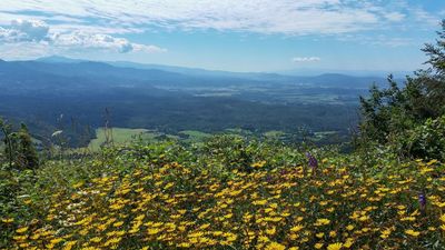 View from aint Lovrenc