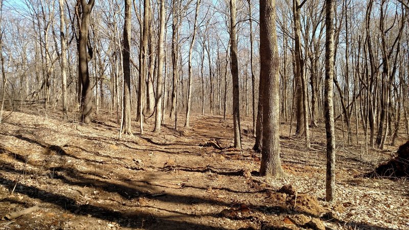 Feburary view of Mason Ridge Trail