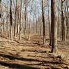 Feburary view of Mason Ridge Trail