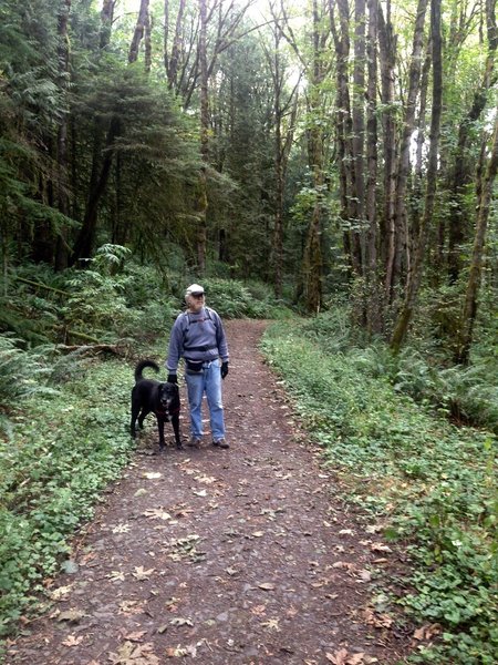 Near the Newton Road parking lot. This section of trail is lined mostly with big leaf maple and Western red cedar.