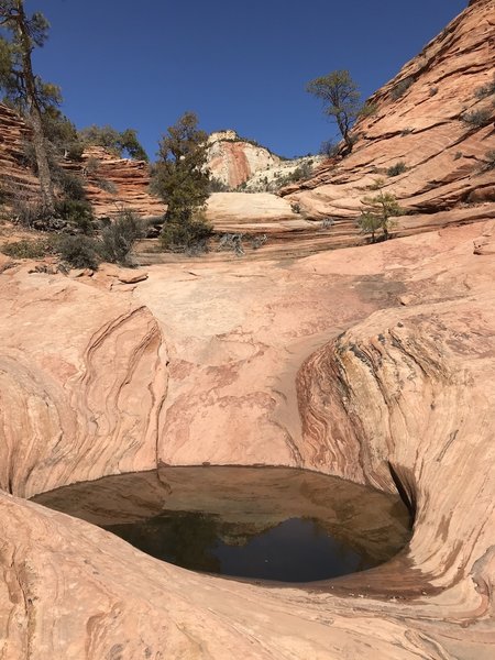 A pool on the way to the top