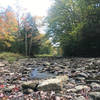 Cranberry River looking upstream