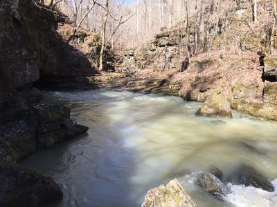 Greer Spring in late winter