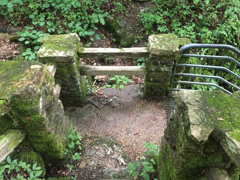 Steps down to the spring at the end of the trail