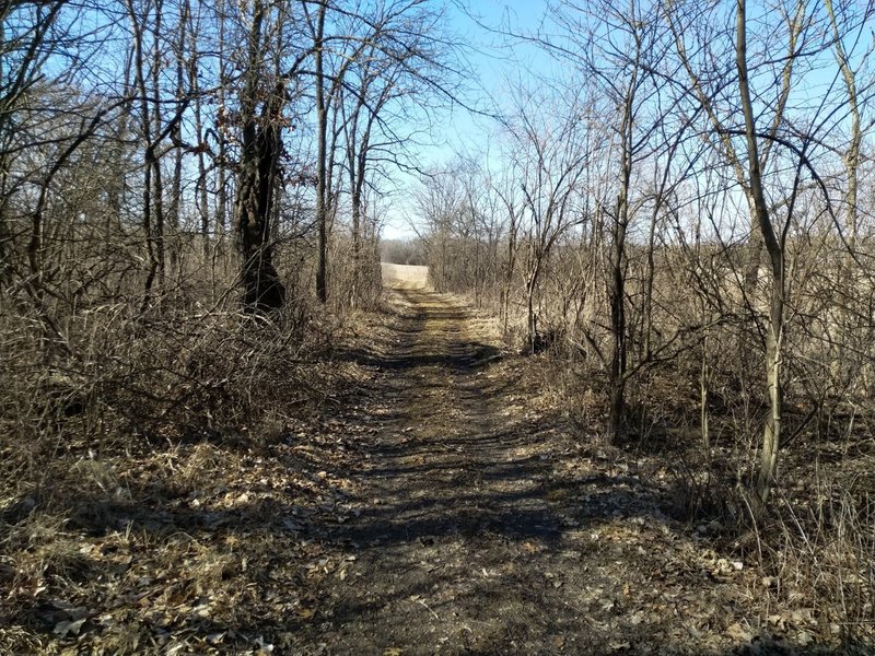 About a mile to the horse trailer lot