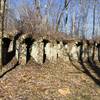 Ruins of the Belgian Coke Ovens at Vinton Furnace Experimental Forest