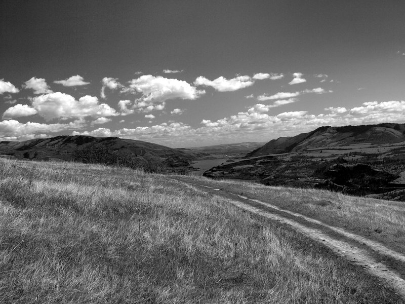 Columbia Gorge from Atwood Road