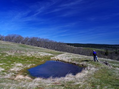 The ephemeral pond high on Tracy Hill