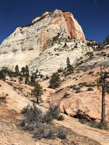 Looking up with lots of little pools