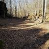 Nice flat campsite near the creek