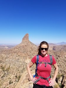 Weavers Needle