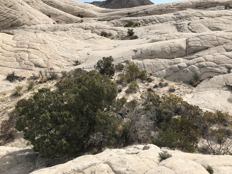 A little oasis between the two peaks.