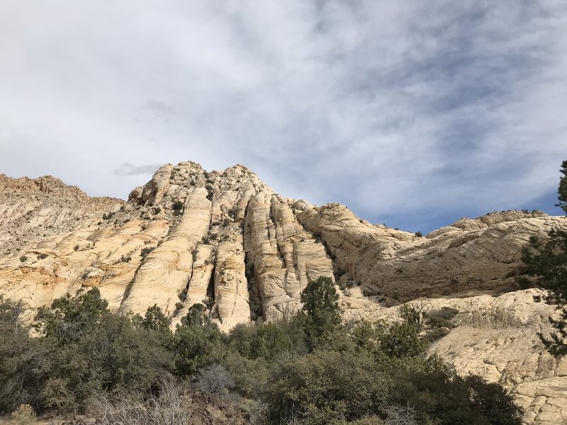 Looking back up at my descent.  Followed that pronounced spine on the right, the routes to the left were quite sheer and I didn't have any gear for rappelling.