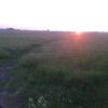 Sunrise over the Grasslands